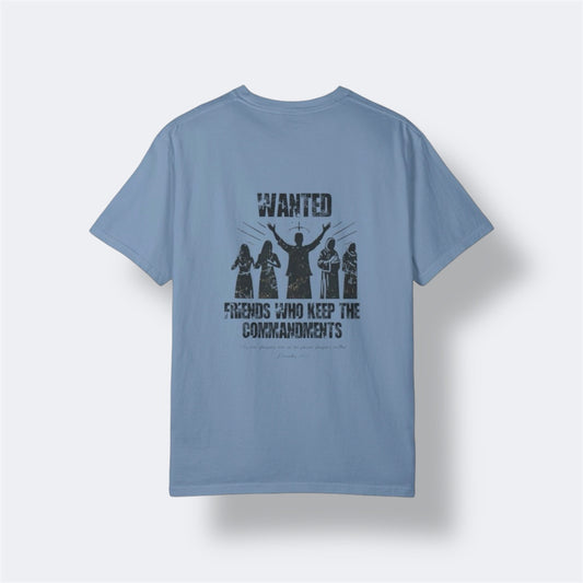 Wanted Friends Tee || Blue